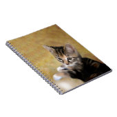 Maak kennis met tijger notitieboek (Rechterzijde)