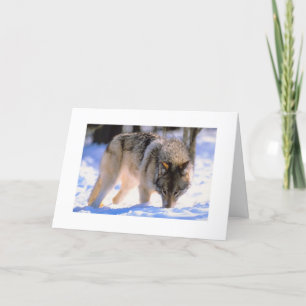 Maak kerstkaart Winter Snow Wolf Feestdagen Kaart