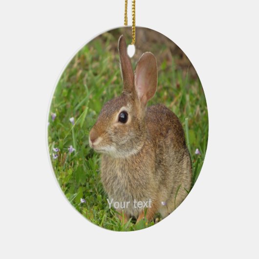 Maak leuke bunny fotografie persoonlijk keramisch ornament (Rechts)