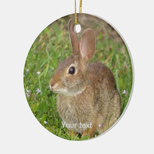 Maak leuke bunny fotografie persoonlijk keramisch ornament (Links)