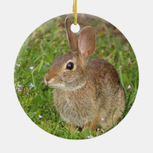 Maak leuke bunny fotografie persoonlijk keramisch ornament (Achterkant)