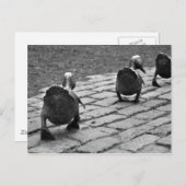 Maak Manier voor Eendjes Briefkaart (Voorkant / Achterkant)