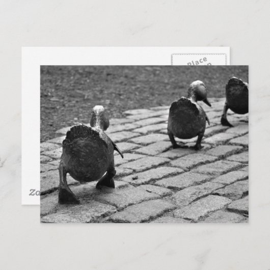 Maak Manier voor Eendjes Briefkaart (Voorkant / Achterkant)