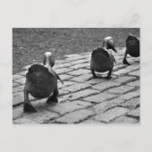 Maak Manier voor Eendjes Briefkaart (Voorkant)