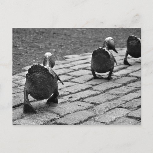 Maak Manier voor Eendjes Briefkaart (Voorkant)