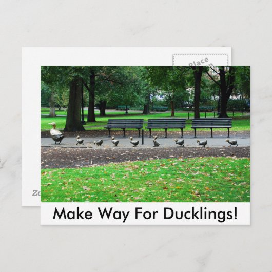 Maak Manier voor Eendjes! Briefkaart (Voorkant / Achterkant)