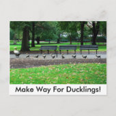 Maak Manier voor Eendjes! Briefkaart (Voorkant)