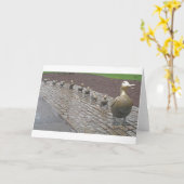 Maak Manier voor Eendjes Kaart (Gele Bloem)