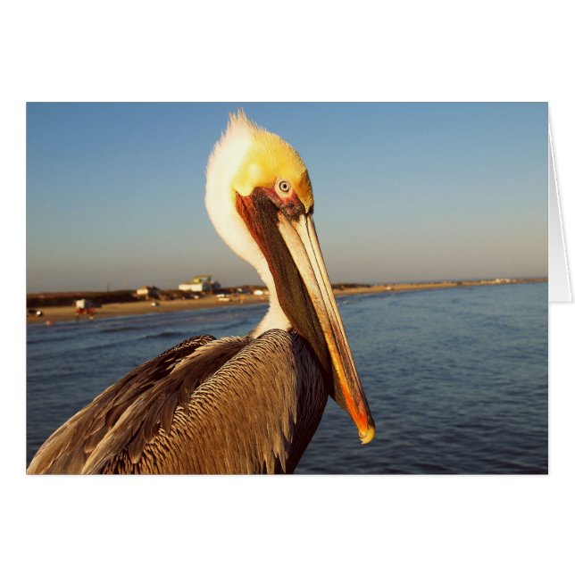 Maak me blind (Voorkant Horizontaal)