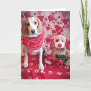 MAAK ME "GELUKKIG" EN ZEG DAT JE MIJN VALENTIJN ZU FEESTDAGEN KAART