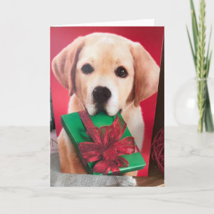 MAAK ME "GELUKKIG" EN ZEG DAT JE MIJN VALENTIJN ZU FEESTDAGEN KAART