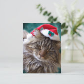 Maak me wakker Santa Cat Briefkaart (Staand voorkant)