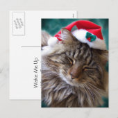 Maak me wakker Santa Cat Briefkaart (Voorkant / Achterkant)