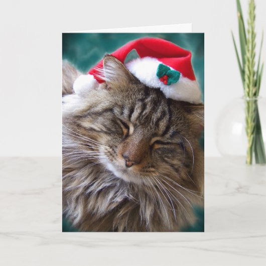 Maak me wakker Santa Cat Kaart (Voorkant)