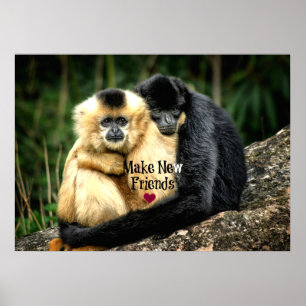 "Maak nieuwe vrienden" Poster