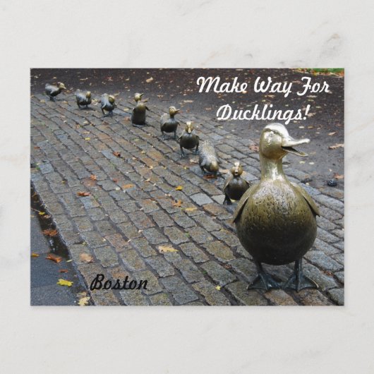 Maak plaats voor de eendjes! briefkaart (Voorkant)