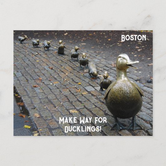 Maak plaats voor de eendjes! briefkaart (Voorkant)