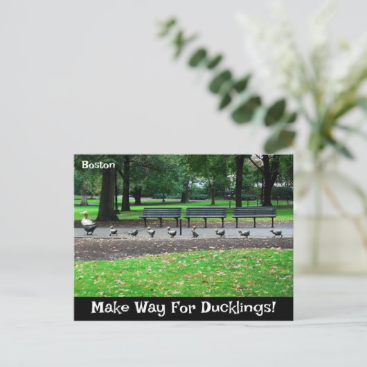 Maak plaats voor Ducklings Briefkaart (Staand voorkant)