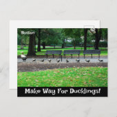 Maak plaats voor Ducklings Briefkaart (Voorkant / Achterkant)