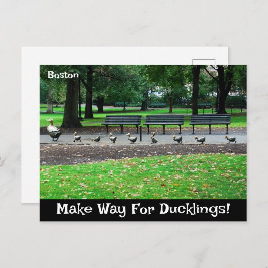Maak plaats voor Ducklings Briefkaart (Voorkant / Achterkant)