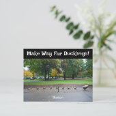 Maak plaats voor Ducklings Briefkaart (Staand voorkant)