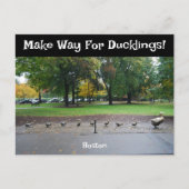Maak plaats voor Ducklings Briefkaart