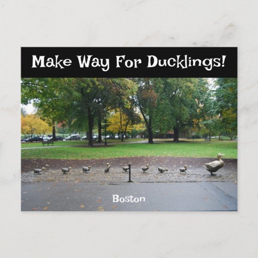Maak plaats voor Ducklings Briefkaart (Voorkant)