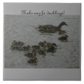 Maak plaats voor eenden! tegeltje (Voorkant)