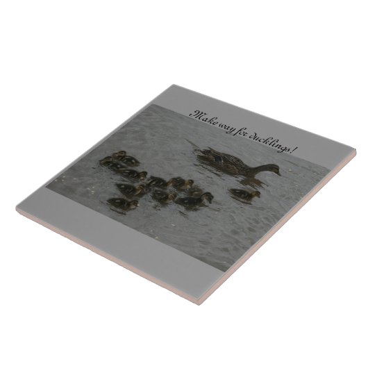 Maak plaats voor eenden! tegeltje (Zijkant)