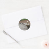 Maak plaats voor eendjes! Sticker (Envelop)