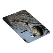 Maak plaats voor snoep! Magneet (Rechterzijde)