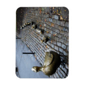 Maak plaats voor snoep! Magneet (Verticaal)