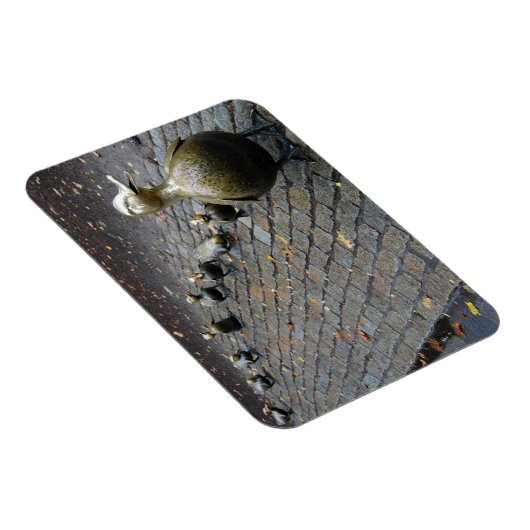 Maak plaats voor snoep! Magneet (Rechterzijde)