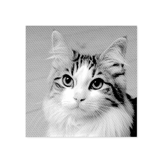 Maak uw eigen aangepaste foto Huisdier Kat Hond Di Rubberstempel (Afrduk)