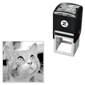 Maak uw eigen aangepaste fotostempel Pet Cat Afbee Zelfinktende Stempel (In situ)