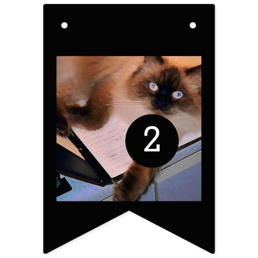 Maak uw eigen decor eenvoudig met 16 afbeeldingen  vlaggetjes (Tweede vlag)