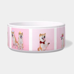 Maak uw eigen foto 8 Aangepast Voerbakje