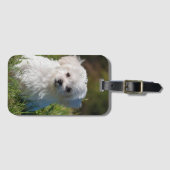 Maak uw eigen foto aan Custom Bagagelabel (Voorkant (horizontaal))