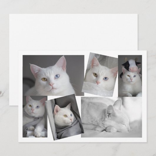 Maak uw eigen foto Collage Persoonlijke Kaart (Voorkant / Achterkant)