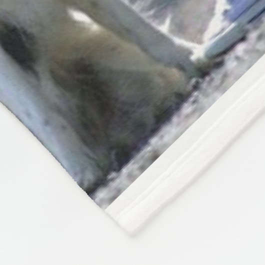 Maak uw eigen fotocollage en tekst fleece deken (Hoek)