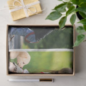 Maak uw eigen fotocollage en tekst tissuepapier (Geschenk)