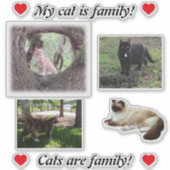 Maak uw eigen kat-Stickers Sjabloon voor kattenbro Sticker (Voorkant)