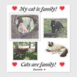 Maak uw eigen kat-Stickers Sjabloon voor kattenbro Sticker