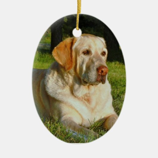 Maak uw eigen kerstversiering keramisch ornament (Voorkant)