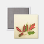 Maak uw eigen magneet - Herfst Pin Oak Leaves (Voorkant / Achterkant)