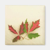 Maak uw eigen magneet - Herfst Pin Oak Leaves (Voorkant)