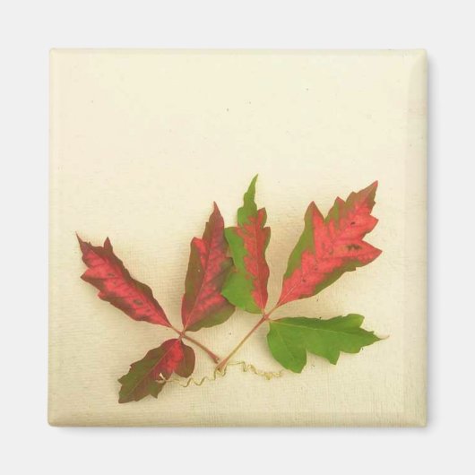 Maak uw eigen magneet - Herfst Pin Oak Leaves (Voorkant)
