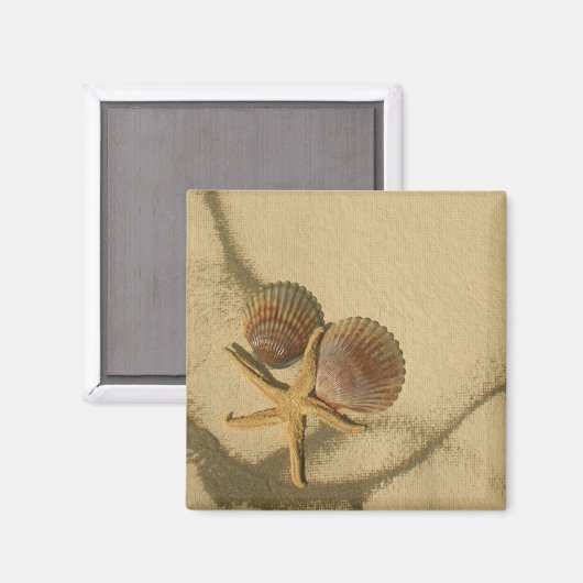 " Maak uw eigen magneet- strand schalen Magneet (Voorkant / Achterkant)