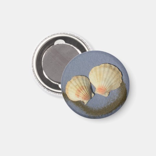 " Maak uw eigen magneet- strand schalen Magneet (Voorkant / Achterkant)