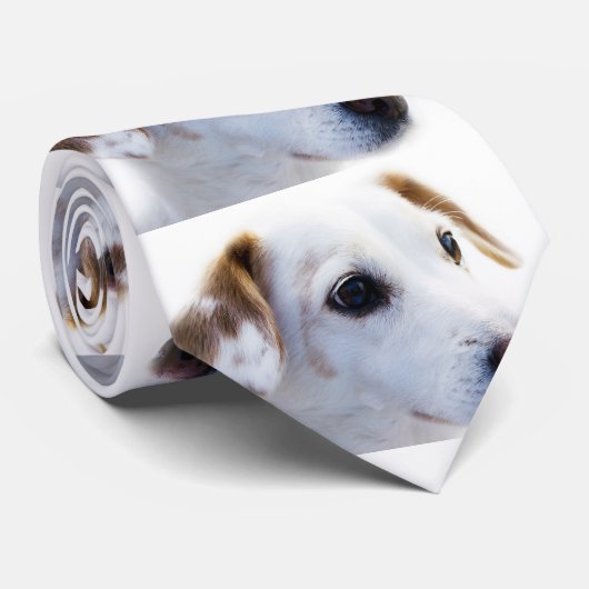 Maak uw eigen Stropdas (Opgerold)